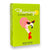 Riley's 66 Flamingo Playing Cards